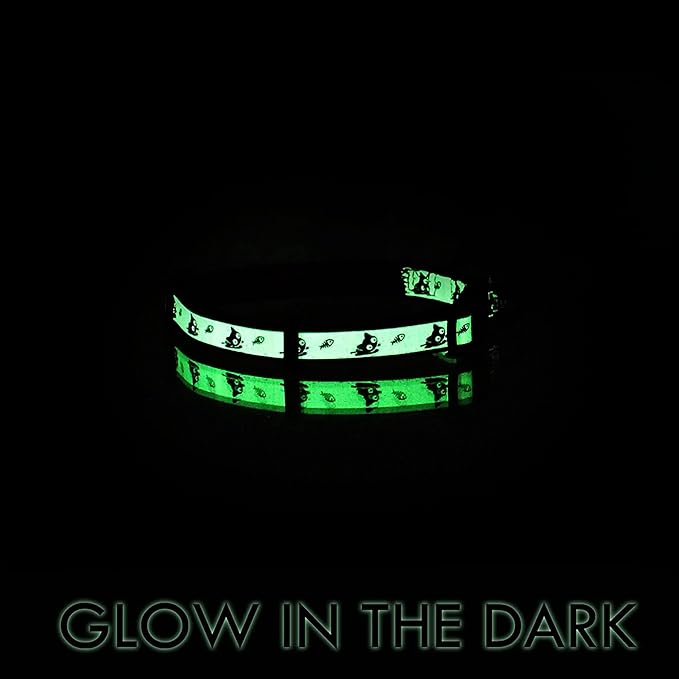 Pawtitas Glow in The Dark Cat Collar Kitten Collar with Safety Buckle and Removable Bell - Teal