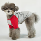 Dog Shirt for Small and Large Dogs Raglan Cotton T-Shirts Soft Breathable Dog Shirts pet Clothes Gray Series (Large, Gray/Red)