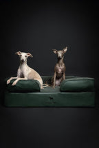 NOAH & PAW Large Dog Bed, 35x25x11 Inch, Orthopedic Dog Beds, Eggshell Memory Foam Infused with Cooling Gel, Inner Cover, Waterproof, Machine Washable (Faux Leather Sofa Collection)