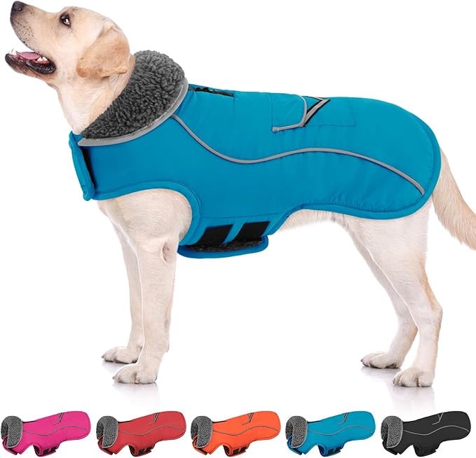 SUNFURA Small Dog Coat, Warm Dog Winter Jacket, Reflective Pet Snow Jacket with Fleece Lined, Waterproof Puppy Snowsuit Pet Sweater Clothes for Small Dogs, Turquoise XS