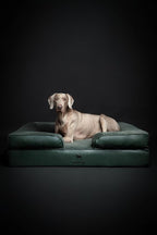NOAH & PAW XL Dog Bed, 45x35x11 Inch, Orthopedic Large Dog Beds, Eggshell Memory Foam Infused with Cooling Gel, Inner Cover, Waterproof, Machine Washable (Faux Leather Sofa Collection)