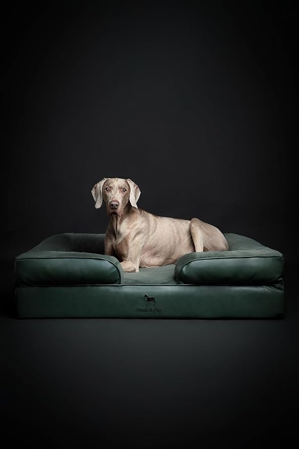 NOAH & PAW XL Dog Bed, 45x35x11 Inch, Orthopedic Large Dog Beds, Eggshell Memory Foam Infused with Cooling Gel, Inner Cover, Waterproof, Machine Washable (Faux Leather Sofa Collection)