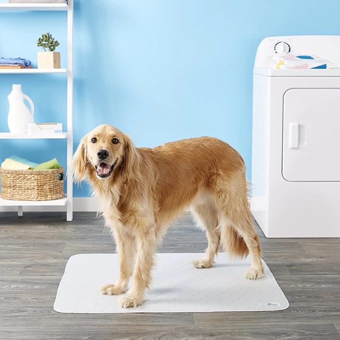 Pet Parents® Pawtect® Pads Washable Pee Pads for Dogs (2pack) of Premium Dog Pee Pads, Waterproof Puppy Pads & Reusable Dog Pads, Whelping Pads & Modern Pee Pads for Dogs (Tan/Grey, 34x36)