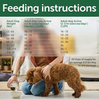 Nature's Protection Dry Dog Food for Small Breed - High Protein, Grain Free, Tear Stain Diet - Dog Kibble Puppy & Adult Dogs with Red Fur (Superior Care - Salmon, 3.3 lb)