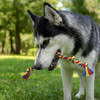 Dog Rope Toys Heavy Chew Toys for Medium & Large Breed Dogs – Durable Rope Toy Set for Teething, Chewing, and Interactive Play(Set of 2 Toys)