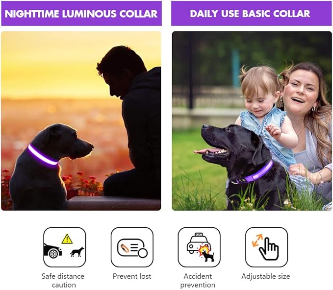MASBRILL Light Up Collar, LED Rechargeable Glow Flashing Night Collar, Waterproof, 4 Colors, 3 Sizes for Small to Large Dogs (S(0.98 * 15.75"), Purple)