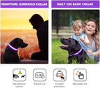MASBRILL LED Dog Collar - Rechargeable Glow Flashing Purple, Waterproof - 4 Colors, 3 Sizes for Small to Large Dogs (L: 23.62")