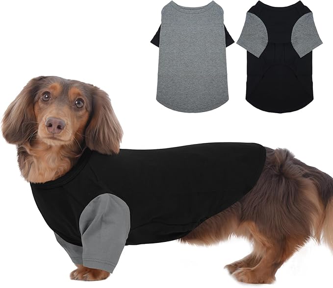 2 Pack Dog Shirt for Medium Dogs - Soft Breathable Summer Cool Tee, Lightweight Comfortable Clothes for Sensitive Skin Jack Russell, Shihtzu, Indoor Lounging, Walking, Park Play, GreyBlack
