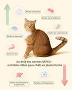 Freeze-Dried Cat Food, 97% Animal Origin Soft Dry Food for Cats Kitten, High Protein Healthy Freeze Dried Cats Raw Treat & Topper (Chicken & Duck - 14 Ounce)