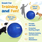 25" Herding Ball for Dogs, for Australian Shepherd, for Cattle, for Border Collie, for Blue Heelers & Medium to Large Dogs,Horse, Herding Dog Ball, Herding Toys - Blue