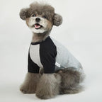 Dog Shirt for Small and Large Dogs Raglan Cotton T-Shirts Soft Breathable Dog Shirts pet Clothes Gray Series (Large, Gray/Black)