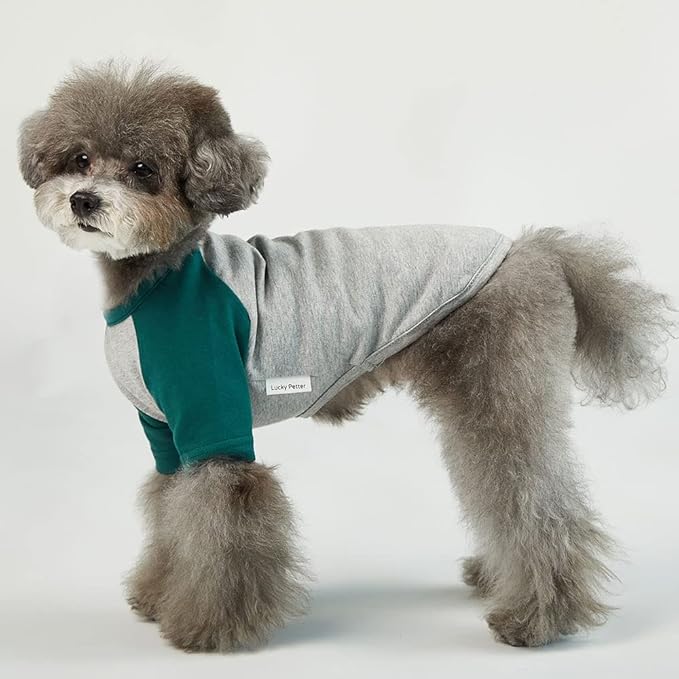Dog Shirt for Small and Large Dogs Raglan Cotton T-Shirts Soft Breathable Dog Shirts pet Clothes Gray Series (Large, Gray/Green)