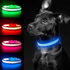 YFbrite Light up Dog Collar, USB Rechargeable LED Puppy Collar Super Bright Adjustable Glowing Dog Lights for Night Walking (Blue, Medium)