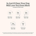 Now Fresh Grain-Free Small Breed Senior Dry Dog Food with Turkey, Salmon & Duck, Premium Kibble Made with Real Meat & Fish, Chicken-Free, Added Glucosamine & Chondroitin for Healthy Joints, 6 lb Bag
