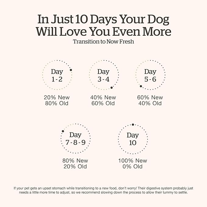 Now Fresh Grain-Free Large Breed Dry Puppy Food with Turkey, Salmon & Duck, Healthy Kibble for Growing Dogs with Real Meat & Fish, Chicken-Free, Pumpkin & Probiotics for Good Digestion, 25 lb Bag