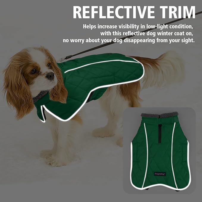 Fragralley Dog Coat Large, Waterproof Dog Jacket with Warm Fleece Lining, Adjustable Reflective Dogs Winter Coat, Turtleneck Pet Coats for Cold Weather (Green XL)