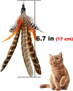 Cat Feather Toys Refills, 6 Pieces Handmade Da Bird Feathers Refill, Cat Wand Replacement Feather for Indoor Cats (B)