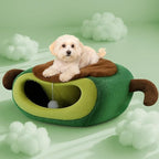 Cute Cat Beds for Indoor Cats, Small Dog Beds, Soft Washable Pet Beds for Kitten and Puppy, Funny Avocado Cat Cave, 19 Inches