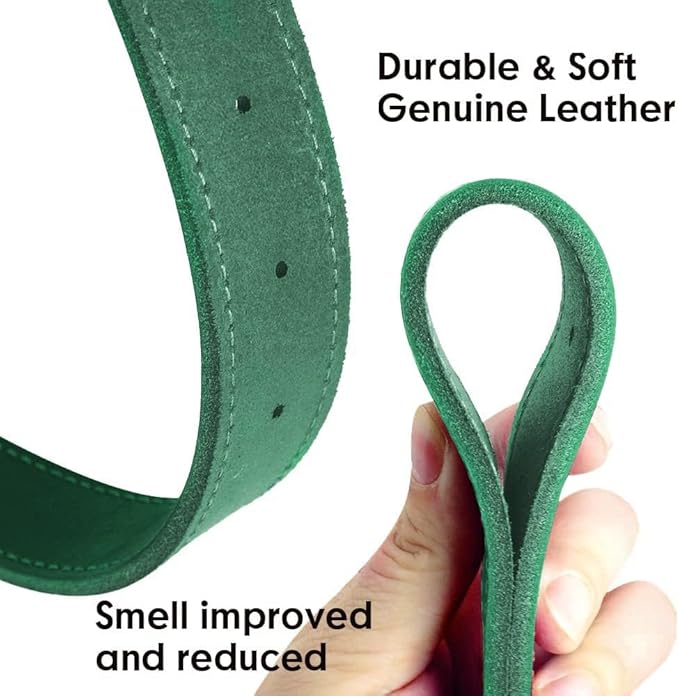 Didog Genuine Leather Dog Collars with Engraved Nameplate, Personalized Soft Leather Dog Collar with Custom ID Tag, Brown/Green/Red for Medium Large Dogs (XXL,Green)
