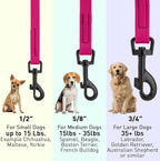Dogline Biothane Waterproof Dog Leash Strong Coated Nylon Webbing with Black Hardware Odor-Proof Easy to Clean High Performance for Small or Large Dogs Made in USA 4 or 6 ft Lead, Magenta Pink