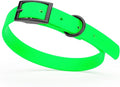 Dogline Biothane Waterproof Dog Collar Strong Coated Nylon Webbing with Black Hardware Odor- Proof for Easy Care Easy to Clean High Performance Fits Small Medium or Large Dogs, Tropical Green