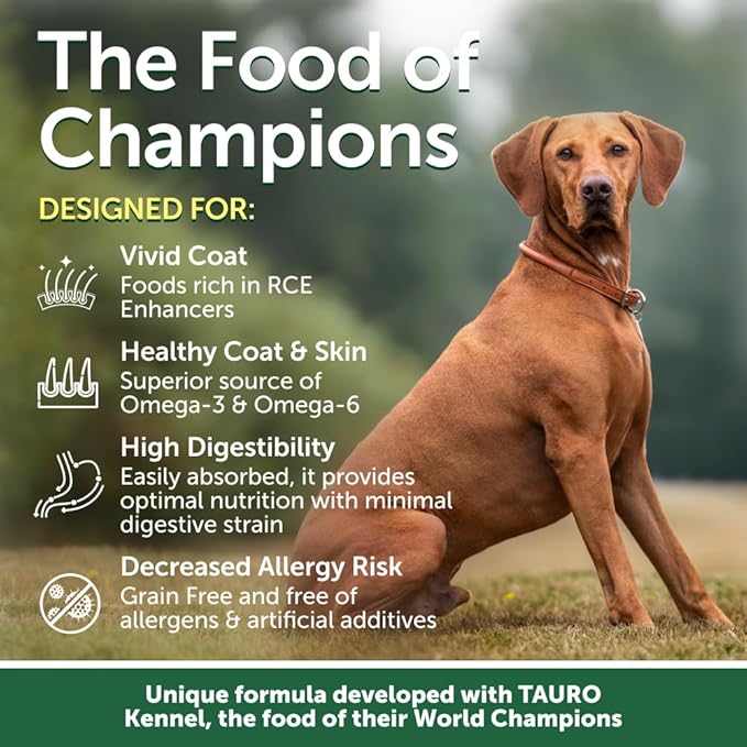 Nature's Protection Dry Dog Food for Small, Medium & Large Breed - High Protein, Grain Free Tear Stain Diet - Dog Kibble for Puppy & Adult Dogs with Red Fur (Superior Care - Lamb, 22 lb)