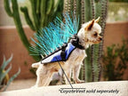 CoyoteVest CoyoteWhiskers Protection Nylon Bristles for CoyoteVest or SpikeVest Dog Harness Vest, Dog Accessories That Deter Coyote, Hawk and Raptor Attacks (Set of 4, Blue)