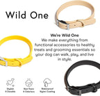Wild One Dog Collar, Easy-Clean, All Weather Flex-Poly Strap with Metal, Durable, Dirt and Odor Resistant (Butter, M)