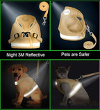 Cat Harnesses and Puppy Harness with Leashes Set, Escape Proof Cat Harness, Adjustable Reflective Soft Mesh Vest Fit Puppy Kitten Rabbit Ferrets's Outdoor Harness