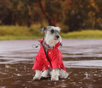 Morezi Dog Zip Up Raincoat with Reflective, Rain/Water Resistant, Adjustable Drawstring, Removable Hood, Raincoats with Legs 8lbs to 80lbs Available - Red - XXL