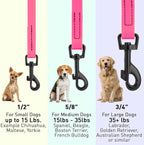 Dogline Biothane Waterproof Dog Leash Strong Coated Nylon Webbing with Black Hardware Odor-Proof Easy to Clean High Performance for Small or Large Dogs Made in USA 4 or 6 ft Lead, Passionfruit Pink