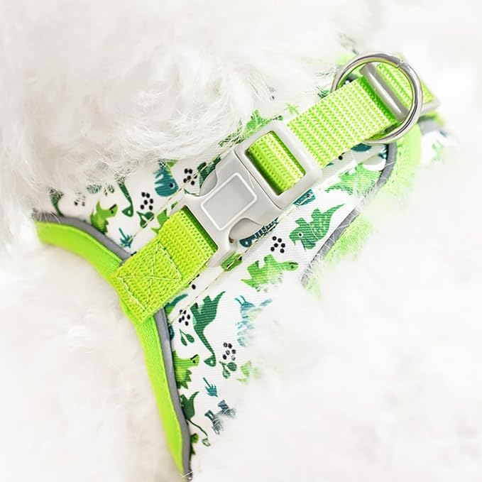 Step in Dog Harness and Leash Set, Flower Adjustable Easy Walk Puppy Harnesses, Soft Mesh Pet Vest Harness Small Size Dog Adjustable No Pull Dog Harness for Small Medium Dogs(Dinosaur, M)