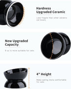 Cat Water Bowl, 16 OZ Ceramic Elevated Cat Bowls, 15° Tilted and Raised Pet Food Dish, Anti Vomiting Protect Pets' Spines and Whisker Fatigue