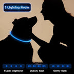 Weewooday 3 Pcs Dog Collar LED USB Rechargeable Lights Dog Necklace Collars Doggy Lights for Night Walking Adjustable Safety Lamp Pet Collars for Large Medium Small Puppy Pet(Blue,Classic Style)