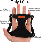 No Pull Dog Harness- Lightweight, Soft, Adjustable Small Harness Collar and Leash Set, Suitable for Cats Puppy Small and Medium-Sized Dog Outdoor Training and Running (Black, XXS)