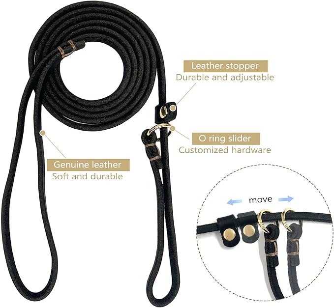 Guiding Star Leather Slip Lead Dog Leash for Small Dogs & Puppies 6 Ft x 1/4 Inch,Luxurious and Lightweight Leather Training Dog Leash for Walking with Soft Handle (Black)