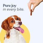 Honest Paws Dog Jerky Treats - All-Natural Jerky Dog Treats for Training Pets - Human Grade Bites - Real USA Beef