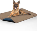 Paw Inspired Washable Pee Pads for Dogs, Leakproof, Non-Slip Reusable Puppy Pads for Potty Training, Whelping, Waterproof Mat (48x60 Inch, Pack of 1)