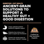 Go! Solutions Digestion + Gut Health, Dry Dog Food, Salmon Recipe with Ancient Grains, 22 lb Bag