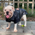Lovelonglong Cool Dog Leather Jacket, Warm Coats Dogs Windproof Cold Weather Coats for Large Medium Small Dogs with Eagle Embroidery Black B-S