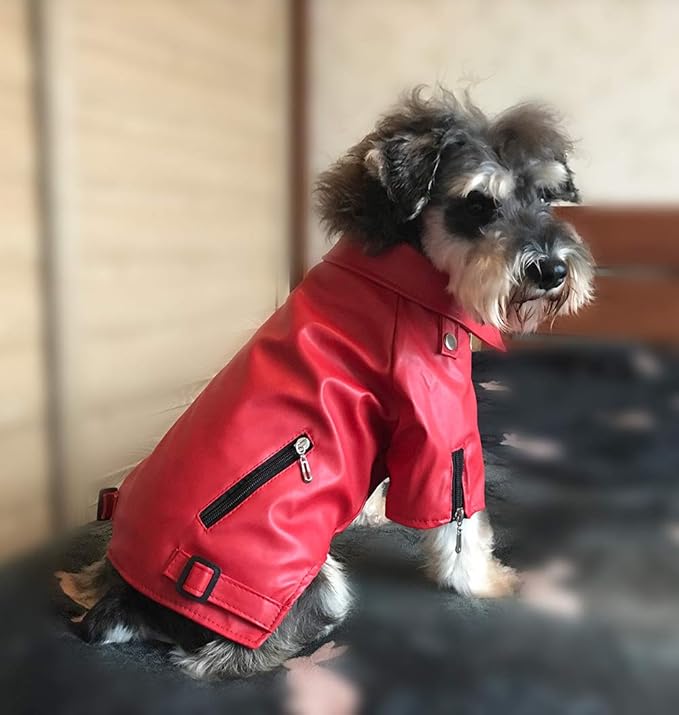 Lovelonglong Cool Dog Leather Jacket, Warm Coats Dogs Windproof Cold Weather Coats for Pugs Bulldog Pitbull Red B-M