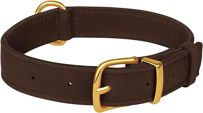 Leather Dog Collar - Heavy Duty Adjustable Soft Padded Pet Collars for Small Medium Large Dogs Breed - Black Green Brown Pink Red Blue (Brown, M, 12"-15" Neck Fit)