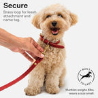 Classic Genuine Leather Dog Collar | Dog Collars for Medium Dogs, Small Dogs, Large Dogs & Extra Large Dog | Wide Dog Collar | Heavy Duty Dog Collar (Red, M: 0.8" Wide for 10.5"-13.5" Neck)