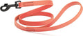Dogline Biothane Waterproof Dog Leash Strong Coated Nylon Webbing with Black Hardware Odor-Proof Easy to Clean High Performance for Small or Large Dogs Made in USA 4 or 6 ft Lead, Coral