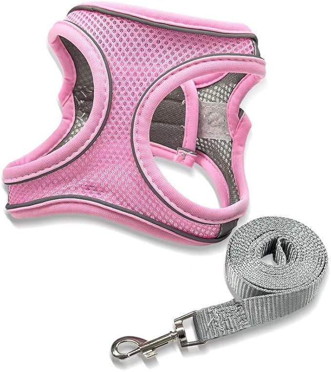 No Pull Dog Harness with Leash Set - Adjustable Reflective Step-in Puppy Vest for Small Medium Dogs & Cats, Pink S - Escape Proof Soft Mesh Comfort Harness for Walking, Choke Free Pet Safety