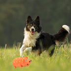 Pig Squeaky Dog Toy, 2 PCS Interactive Rubber Dog Chew Toy - Durable Latex Spot Grunting Pig Toys That Oink for Small Medium Large Dogs (Orange, Yellow)