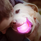 LaRoo LED Dog Balls Rechargeable,Light up Dog Ball Glow in The Dark,Teeth-Cleaning Natural Rubber,Interactive Dog Toys for Small & Medium Dogs,2.5 inches(Purple)