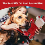 Dog Squeak Toys for Small, Medium & Large Dogs, Tough Chew Toy for Teething & Chewing, Durable Interactive Puppy, 5-Pack