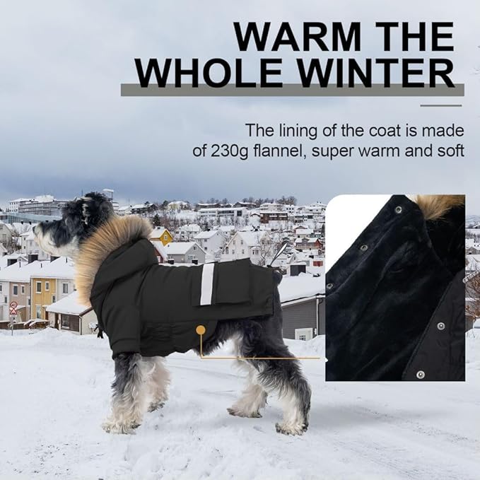 PINA Small Dog Coats - Waterproof, Warm Winter Jacket with Faux Fur Hood & Pocket