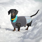 EMUST Dog Feece Jacket, Soft Dog Vest Warm Cold Weather Coats for Small Medium Dogs Boy or Girl for Fall Winter, Grey, L